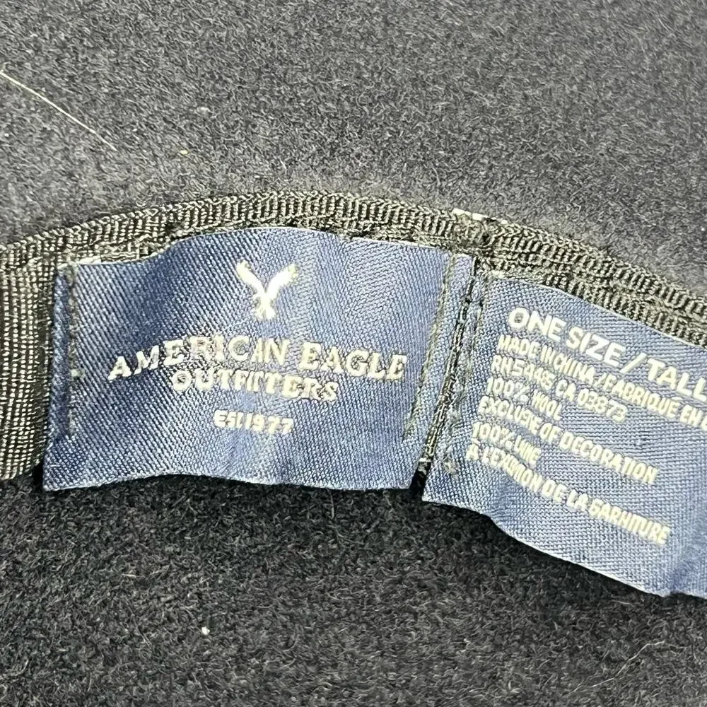 AMERICAN EAGLE Wide Brim Floppy Felt Hat Wool Embroidered Band Purple One Size